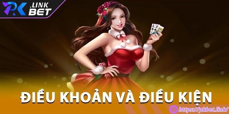 Tìm hiểu kỹ điều khoản điều kiện là yếu tố cần thiết để bảo vệ quyền lợi chính mình