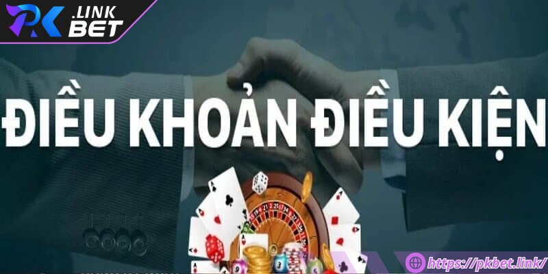 Pkbet đưa ra một số điều khoản điều kiện và quy định cụ thể đối với người tham gia