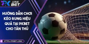 Hướng dẫn chơi kèo rung hiệu quả tại Pkbet cho tân thủ